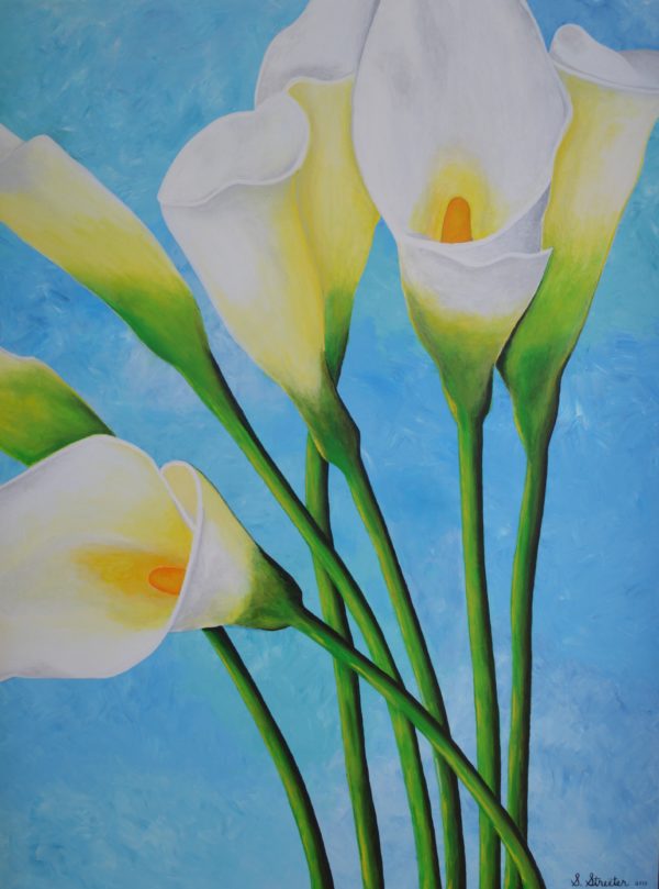 Calla Lilies