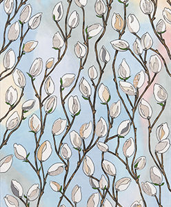 Magnolia Buds