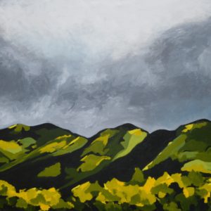Stormy Sky Over Beaver Creek