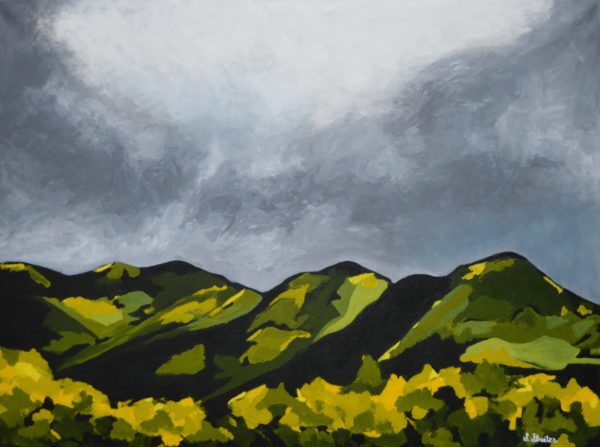 Stormy Sky Over Beaver Creek